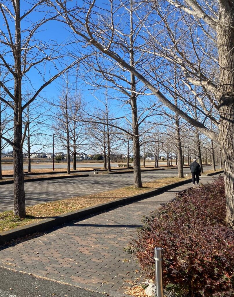 冬の晴れた公園