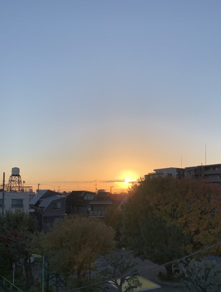 朝日が昇る爽やかな公園
