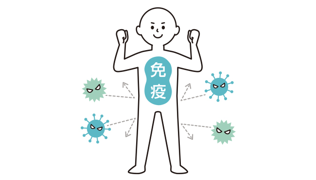 免疫力のイメージイラスト