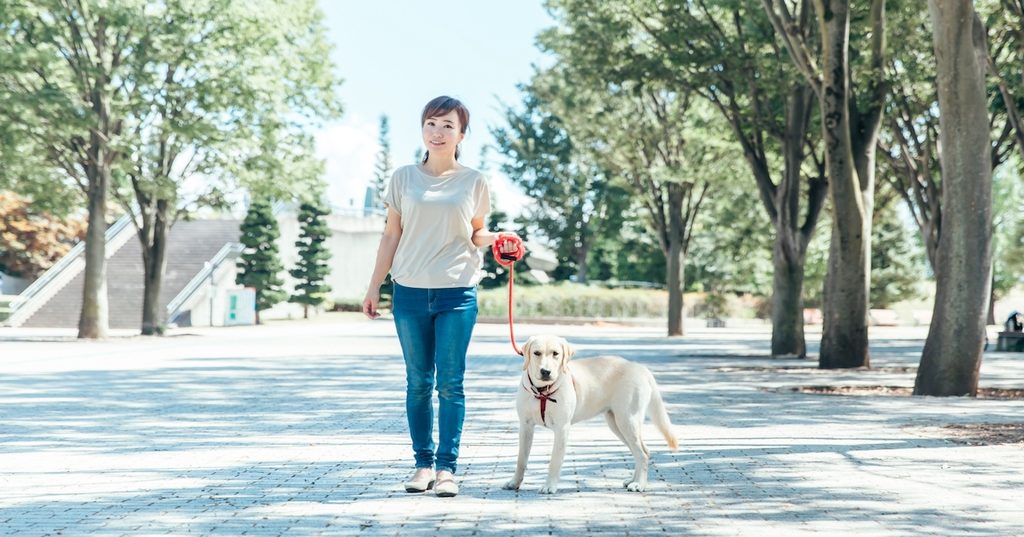 公園で犬の散歩をする女性